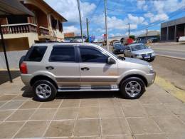 FORD - ECOSPORT - 2009/2009 - Prata - R$ 34.900,00